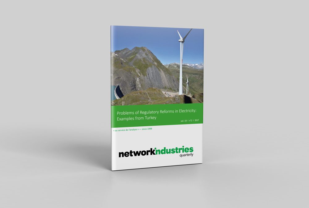 Problems of Regulatory Reforms in Electricity: Examples from Turkey