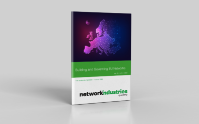 Building and Governing EU Networks