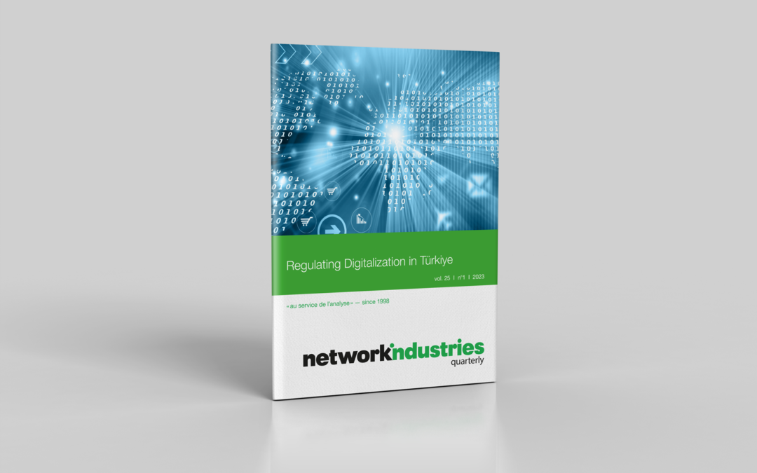 Regulating Digitalization in Türkiye